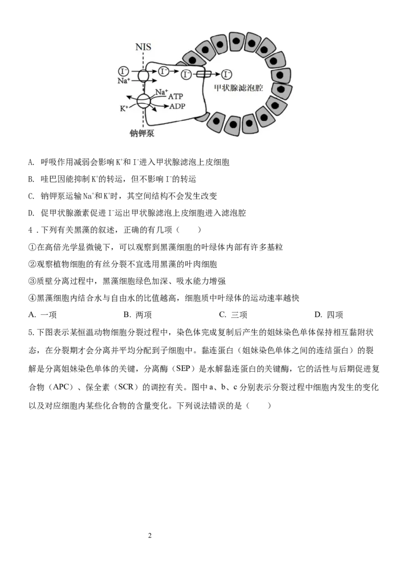 1818-副本_A1502026各地模拟卷（超值！）_11月_241119云南省玉溪市一中2024-2025学年高三上学期期中考试_生物