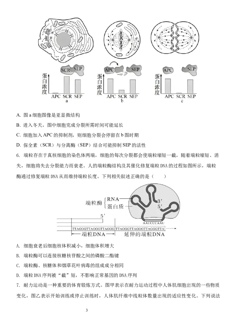 1818-副本_A1502026各地模拟卷（超值！）_11月_241119云南省玉溪市一中2024-2025学年高三上学期期中考试_生物