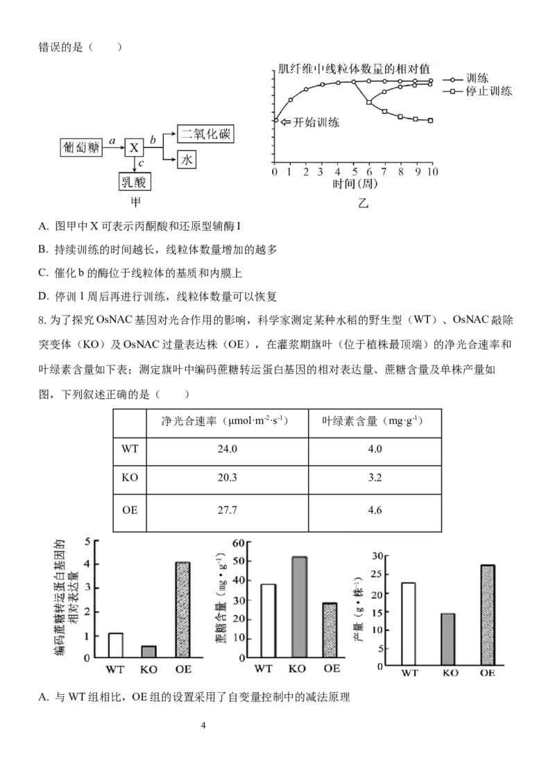 1818-副本_A1502026各地模拟卷（超值！）_11月_241119云南省玉溪市一中2024-2025学年高三上学期期中考试_生物