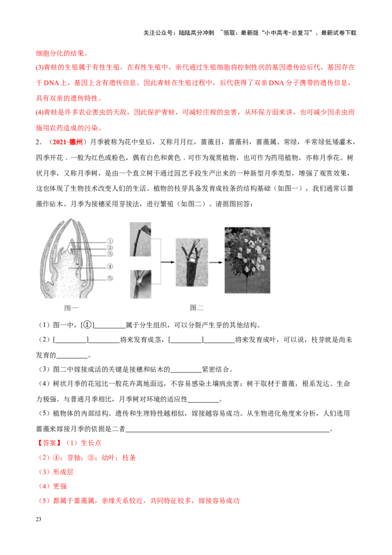 专题12&nbsp;其他生物的生殖和发育（解析版）_02中考总复习（2026版更新中）_08-生物-中考总复习_2024年中考复习资料_专项复习_完三年（2021-2023）中考生物真题分项汇编（全国通用）