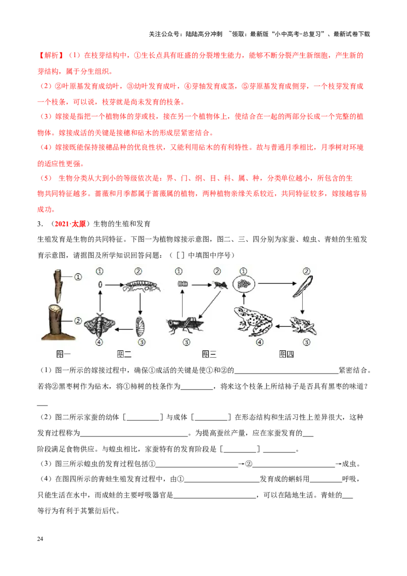 专题12&nbsp;其他生物的生殖和发育（解析版）_02中考总复习（2026版更新中）_08-生物-中考总复习_2024年中考复习资料_专项复习_完三年（2021-2023）中考生物真题分项汇编（全国通用）
