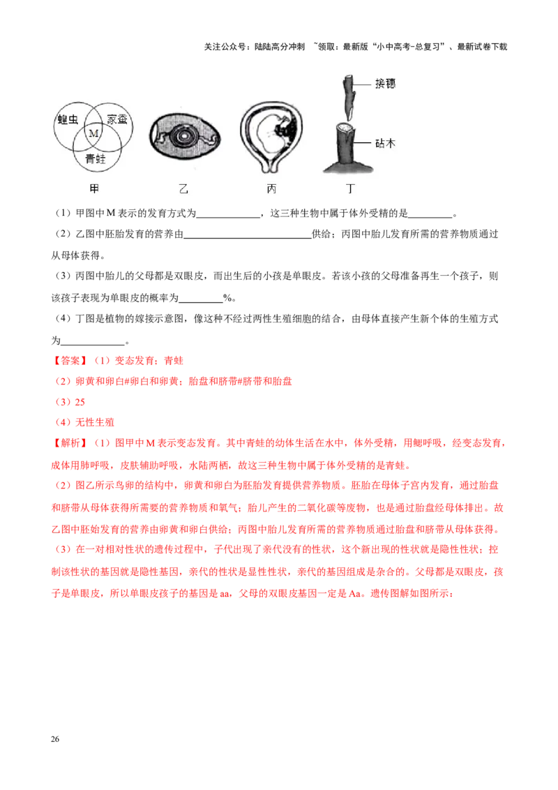专题12&nbsp;其他生物的生殖和发育（解析版）_02中考总复习（2026版更新中）_08-生物-中考总复习_2024年中考复习资料_专项复习_完三年（2021-2023）中考生物真题分项汇编（全国通用）
