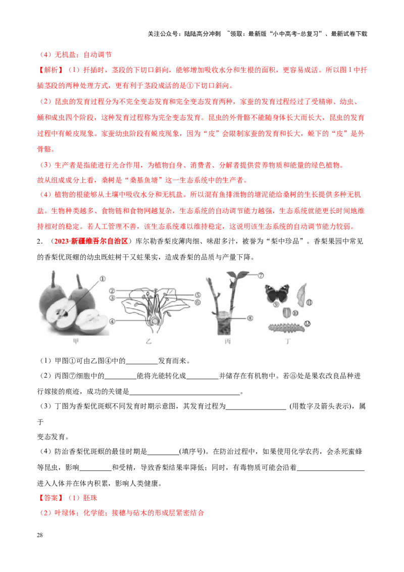 专题12&nbsp;其他生物的生殖和发育（解析版）_02中考总复习（2026版更新中）_08-生物-中考总复习_2024年中考复习资料_专项复习_完三年（2021-2023）中考生物真题分项汇编（全国通用）