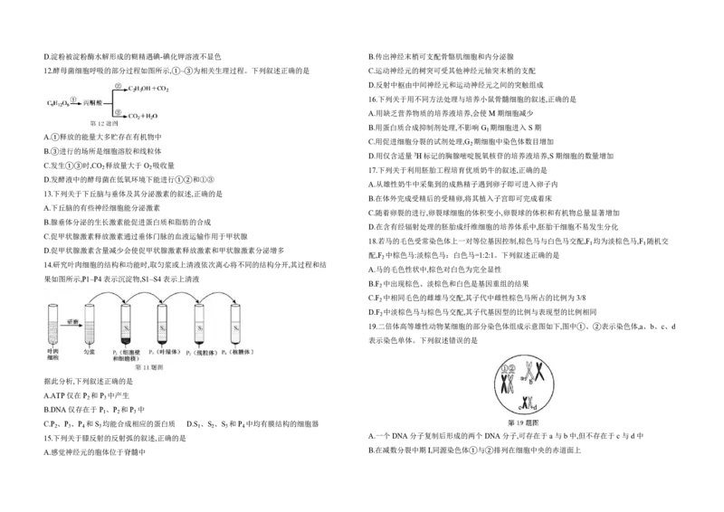 2020年浙江省高考生物1月（原卷版）_全国卷+地方卷_6.生物_1.生物高考真题试卷_2008-2020年_地方卷_浙江高考生物08-21_A3word版_PDF版（赠送）