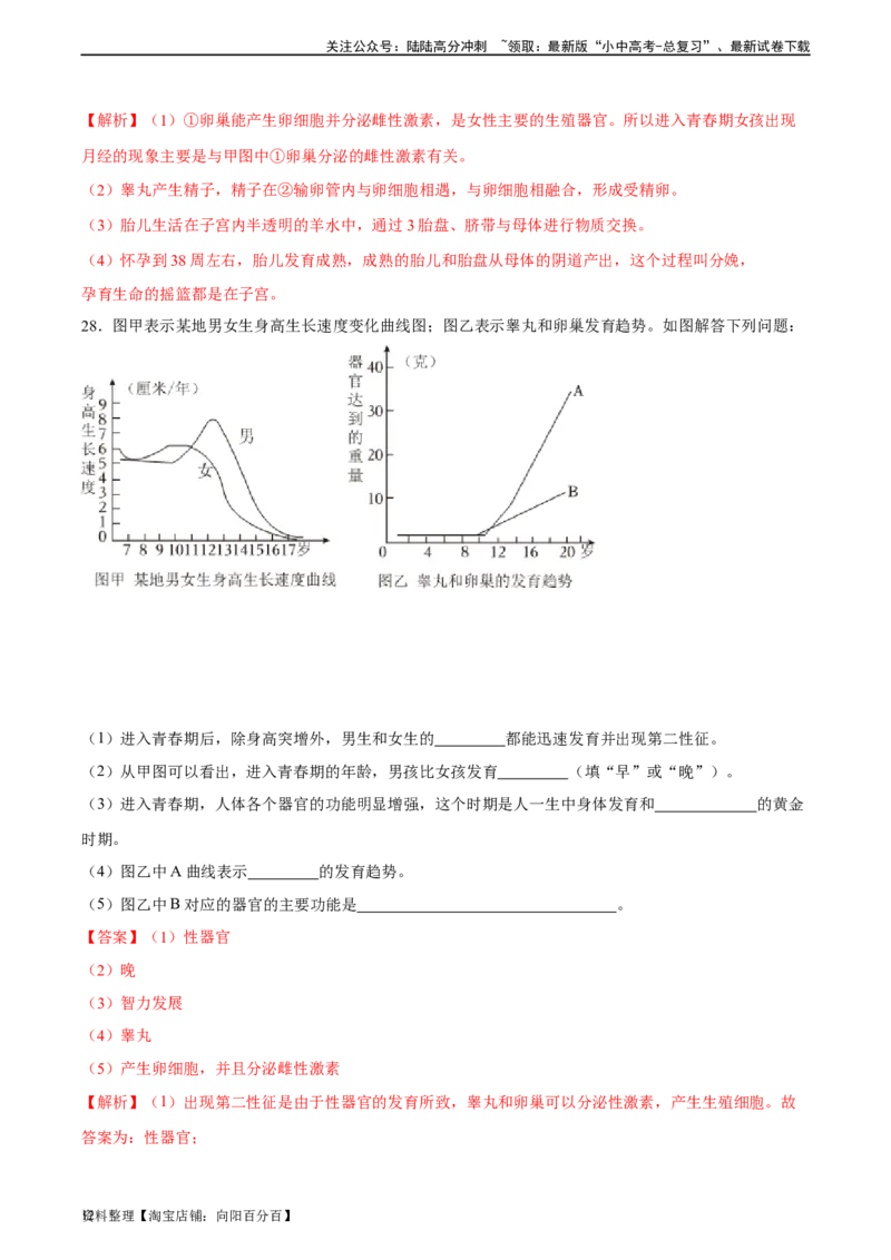 专题09人的由来（习题精练）（全国通用）（解析版）_02中考总复习（2026版更新中）_08-生物-中考总复习_2024年中考复习资料_一轮复习_配套练习（原卷版+解析版）_答案解析版