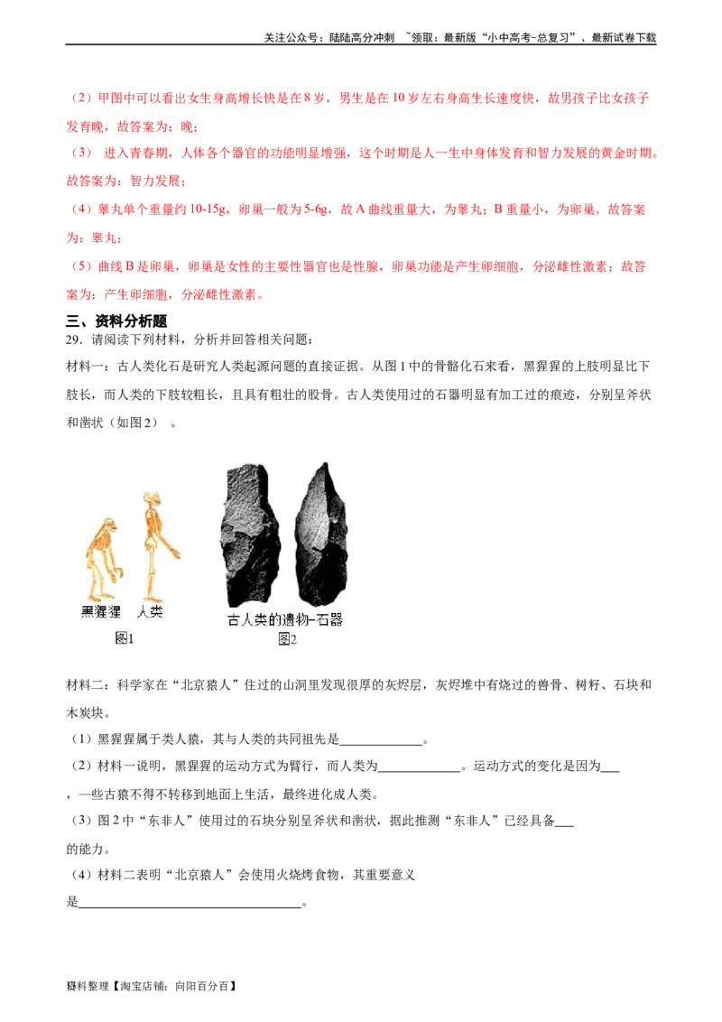 专题09人的由来（习题精练）（全国通用）（解析版）_02中考总复习（2026版更新中）_08-生物-中考总复习_2024年中考复习资料_一轮复习_配套练习（原卷版+解析版）_答案解析版