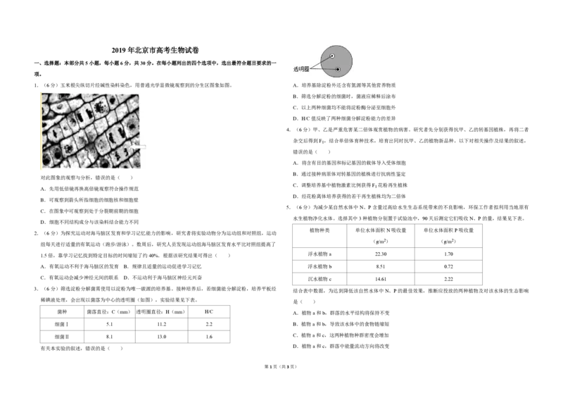 2019年北京市高考生物试卷（原卷版）_全国卷+地方卷_6.生物_1.生物高考真题试卷_2008-2020年_地方卷_北京高考生物08-21_A3word版_PDF版(赠送)