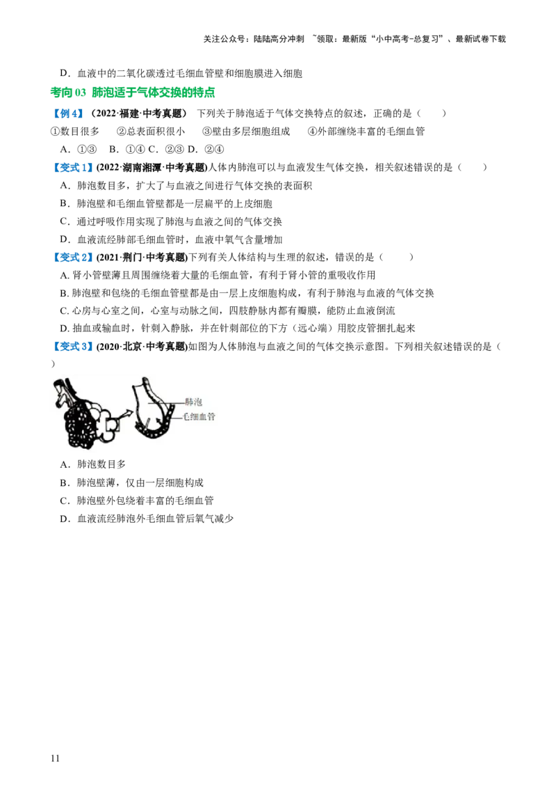 专题11人体的呼吸（讲义）（原卷版）_02中考总复习（2026版更新中）_08-生物-中考总复习_2024年中考复习资料_一轮复习_❤2024年中考生物一轮复习讲练测（全国通用）_讲义