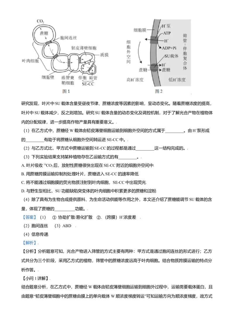 2021年北京市高考生物试卷（解析版）_全国卷+地方卷_6.生物_1.生物高考真题试卷_2008-2020年_地方卷_北京高考生物08-21_A4word版