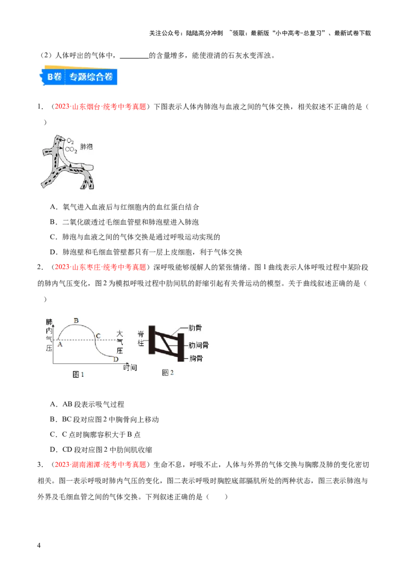 专题11人体的呼吸（原卷版）_02中考总复习（2026版更新中）_08-生物-中考总复习_2024年中考复习资料_一轮复习_❤备战2024年中考生物一轮复习考点帮（全国通用）_练习