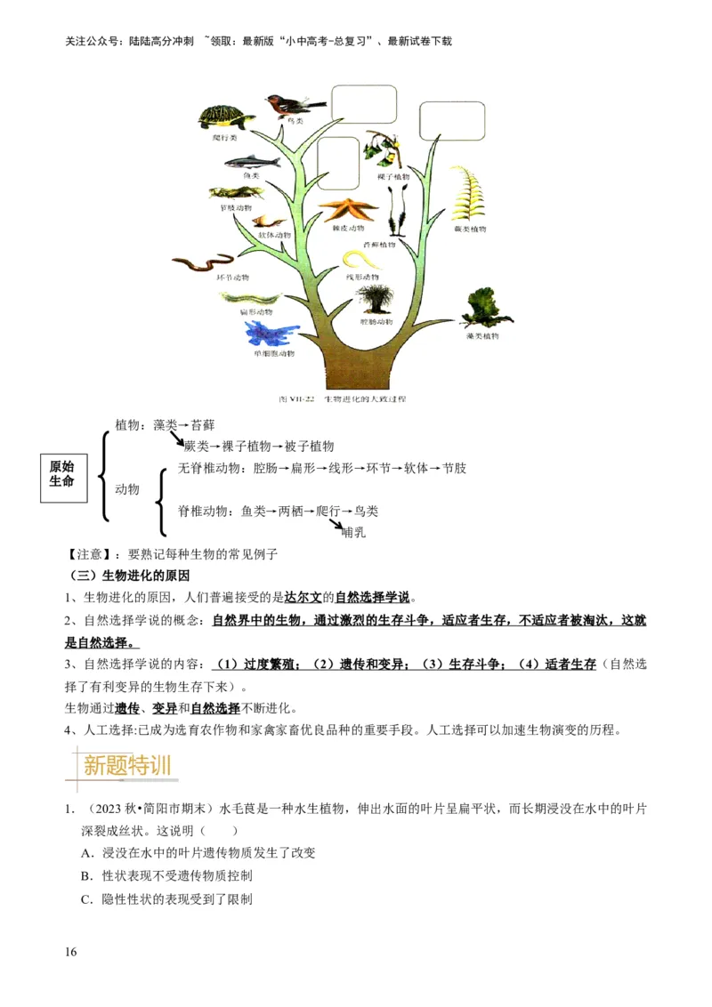 专题14生物遗传和变异、生命起源和进化（原卷版）_02中考总复习（2026版更新中）_08-生物-中考总复习_2024年中考复习资料_专项复习_备战2024年中考生物真题题源解密