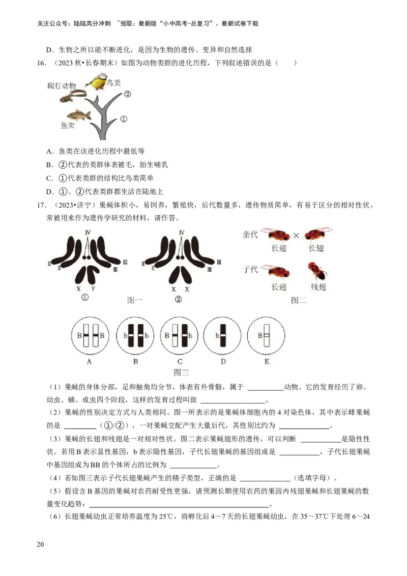 专题14生物遗传和变异、生命起源和进化（原卷版）_02中考总复习（2026版更新中）_08-生物-中考总复习_2024年中考复习资料_专项复习_备战2024年中考生物真题题源解密