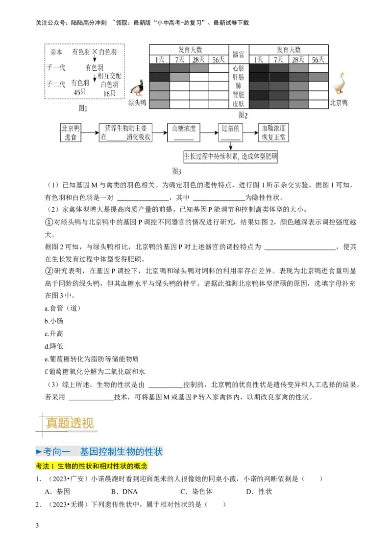 专题14生物遗传和变异、生命起源和进化（原卷版）_02中考总复习（2026版更新中）_08-生物-中考总复习_2024年中考复习资料_专项复习_备战2024年中考生物真题题源解密