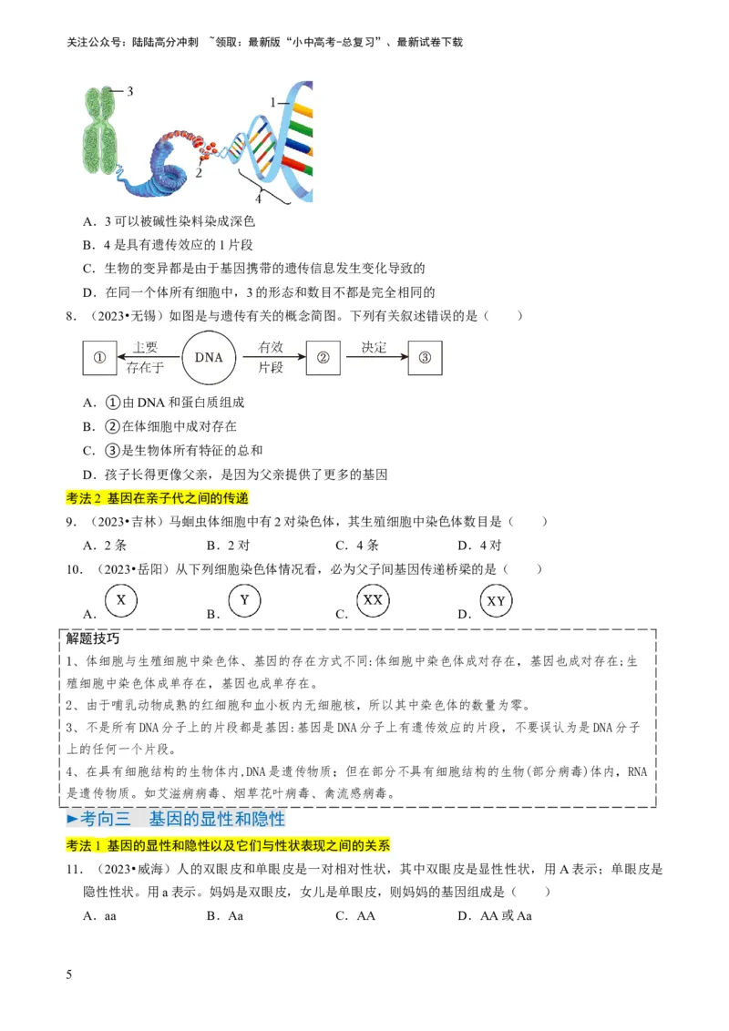专题14生物遗传和变异、生命起源和进化（原卷版）_02中考总复习（2026版更新中）_08-生物-中考总复习_2024年中考复习资料_专项复习_备战2024年中考生物真题题源解密