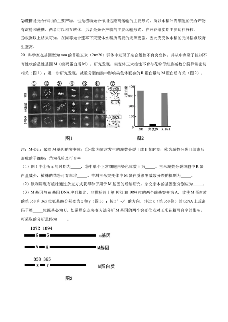 2023年高考生物真题（重庆自主命题）（解析版）_全国卷+地方卷_6.生物_1.生物高考真题试卷_2023年高考-生物_2023年重庆自主命题
