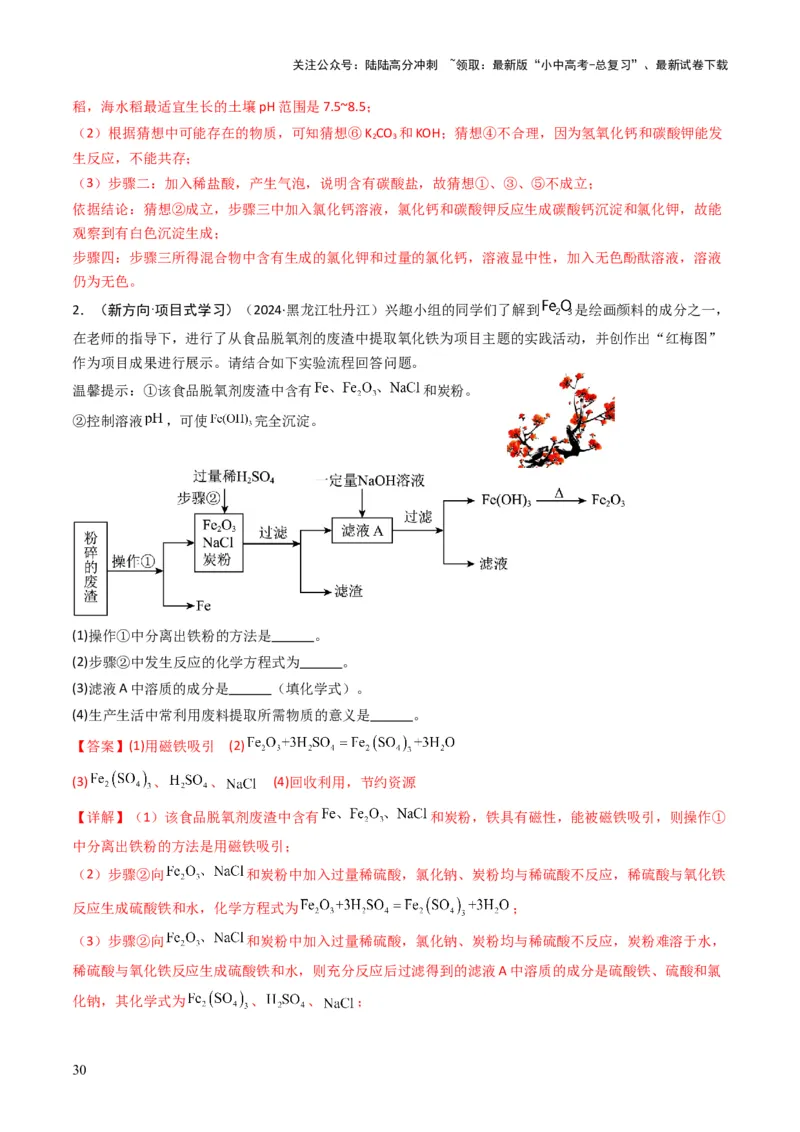 专题14物质的检验和鉴别、分离和提纯（解析版）_02中考总复习（2026版更新中）_05-化学-中考总复习_2025年中考复习资料_备战2025年中考化学真题题源解密