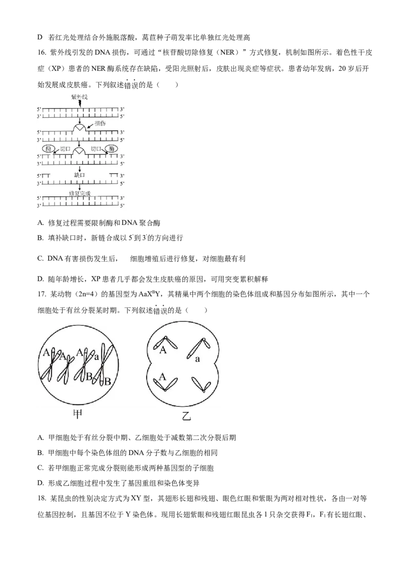 2023浙江省高考生物6月二次选考卷（原卷版）_全国卷+地方卷_6.生物_1.生物高考真题试卷_2023年高考-生物_2023年浙江自主命题