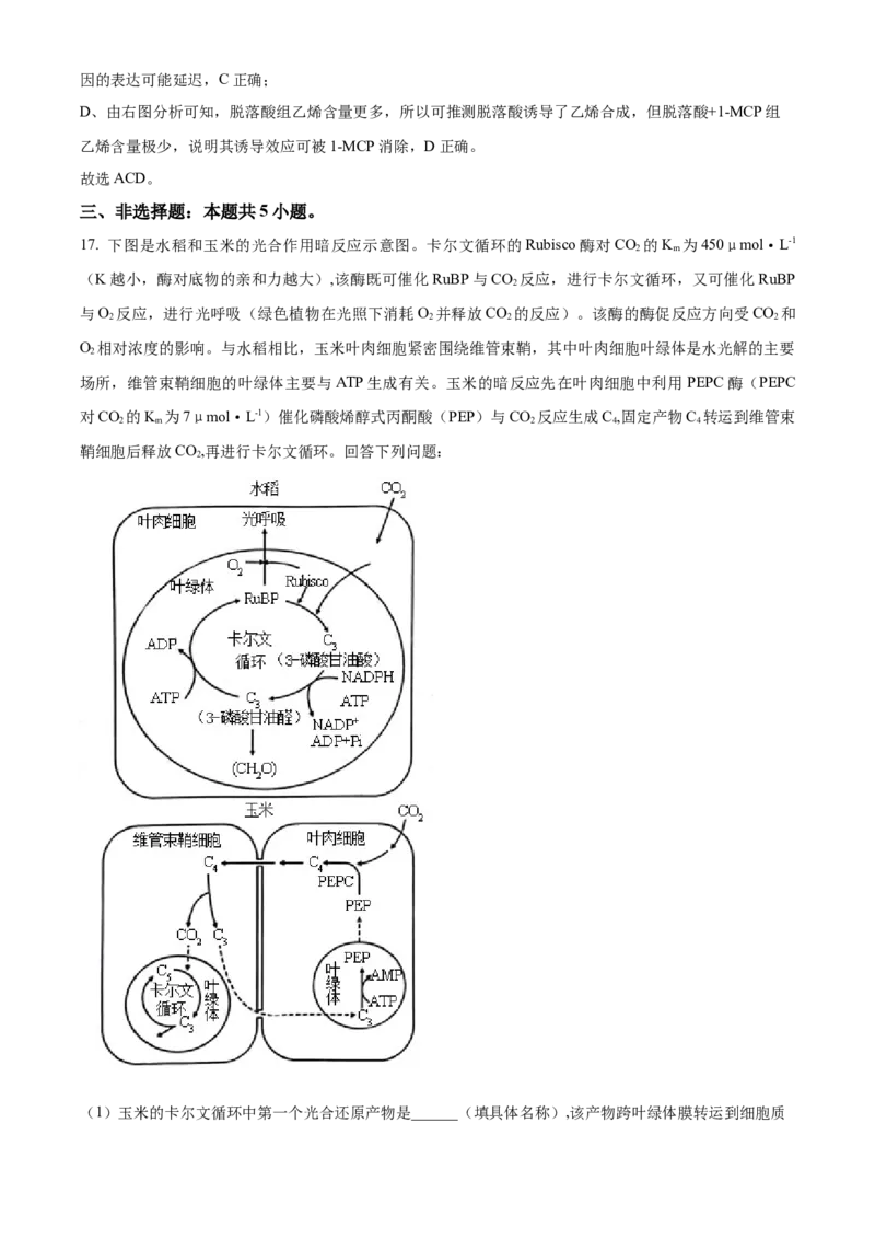 2023年高考生物真题（湖南自主命题）（解析版）_全国卷+地方卷_6.生物_1.生物高考真题试卷_2023年高考-生物_2023年湖南自主命题
