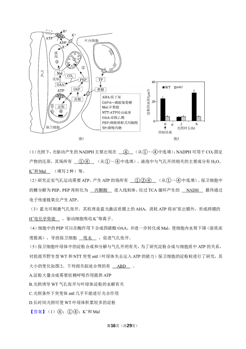 2023年高考生物真题（江苏自主命题）（解析版）_全国卷+地方卷_6.生物_1.生物高考真题试卷_2023年高考-生物_2023年江苏自主命题