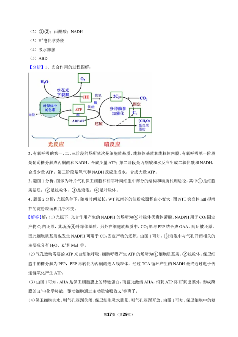 2023年高考生物真题（江苏自主命题）（解析版）_全国卷+地方卷_6.生物_1.生物高考真题试卷_2023年高考-生物_2023年江苏自主命题