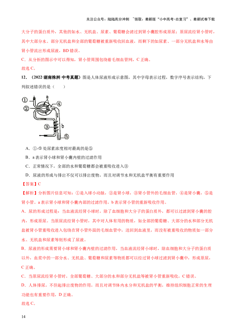 专题13人体内废物的排出（练习）（解析版）_02中考总复习（2026版更新中）_08-生物-中考总复习_2024年中考复习资料_一轮复习_❤2024年中考生物一轮复习讲练测（全国通用）_练习