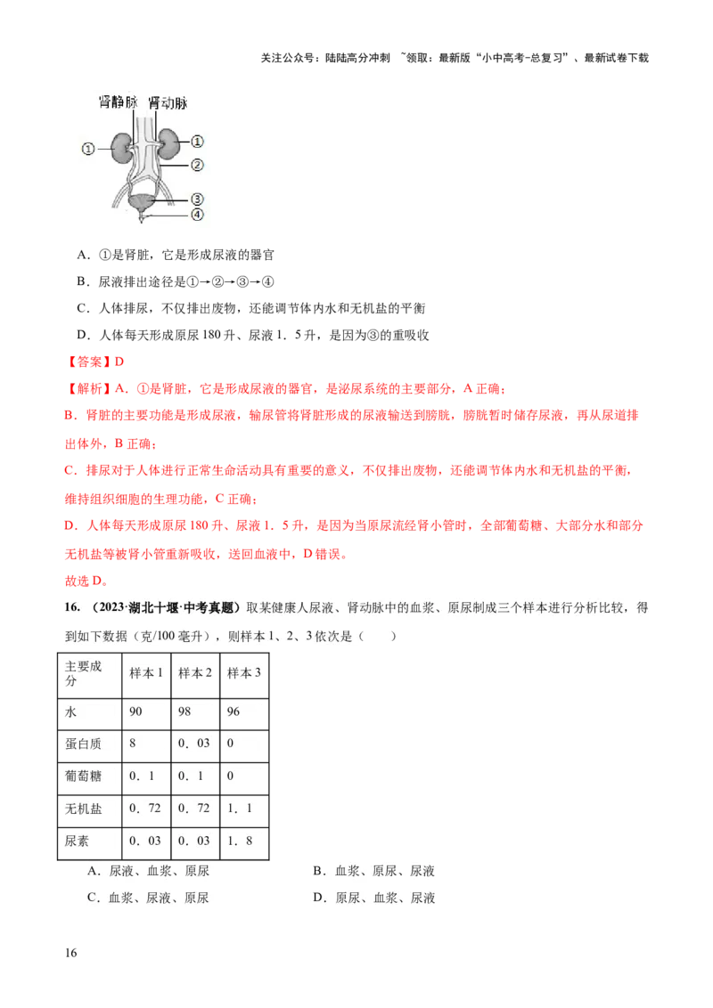 专题13人体内废物的排出（练习）（解析版）_02中考总复习（2026版更新中）_08-生物-中考总复习_2024年中考复习资料_一轮复习_❤2024年中考生物一轮复习讲练测（全国通用）_练习