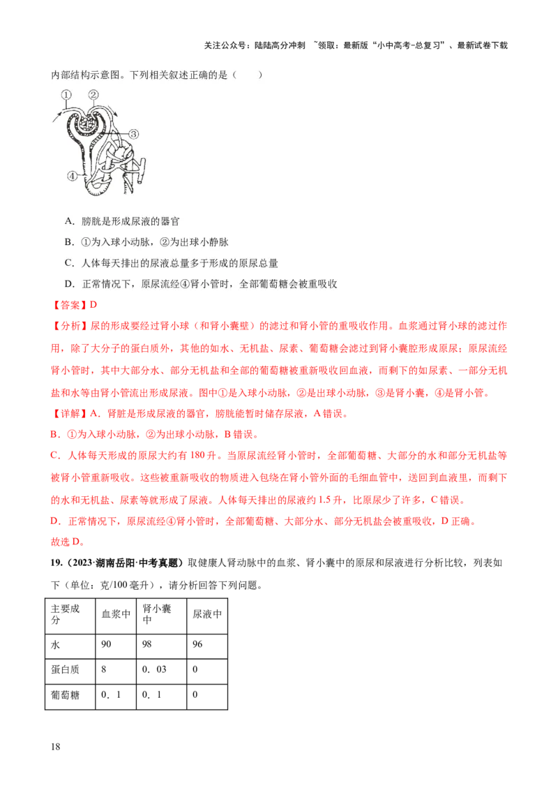 专题13人体内废物的排出（练习）（解析版）_02中考总复习（2026版更新中）_08-生物-中考总复习_2024年中考复习资料_一轮复习_❤2024年中考生物一轮复习讲练测（全国通用）_练习