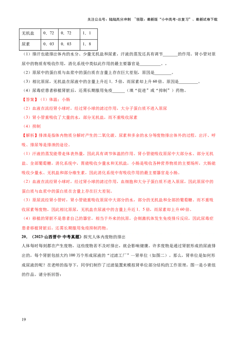 专题13人体内废物的排出（练习）（解析版）_02中考总复习（2026版更新中）_08-生物-中考总复习_2024年中考复习资料_一轮复习_❤2024年中考生物一轮复习讲练测（全国通用）_练习