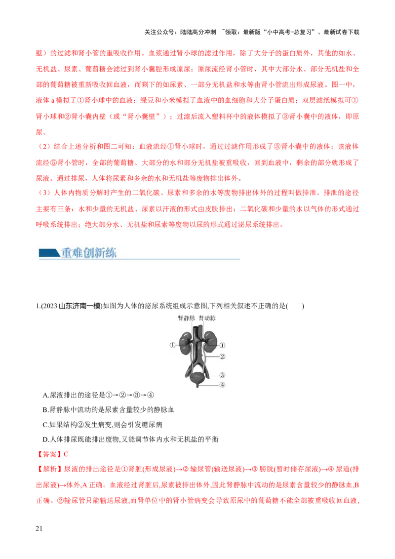 专题13人体内废物的排出（练习）（解析版）_02中考总复习（2026版更新中）_08-生物-中考总复习_2024年中考复习资料_一轮复习_❤2024年中考生物一轮复习讲练测（全国通用）_练习