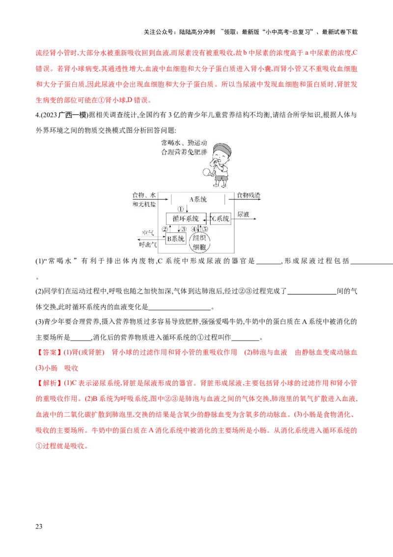 专题13人体内废物的排出（练习）（解析版）_02中考总复习（2026版更新中）_08-生物-中考总复习_2024年中考复习资料_一轮复习_❤2024年中考生物一轮复习讲练测（全国通用）_练习