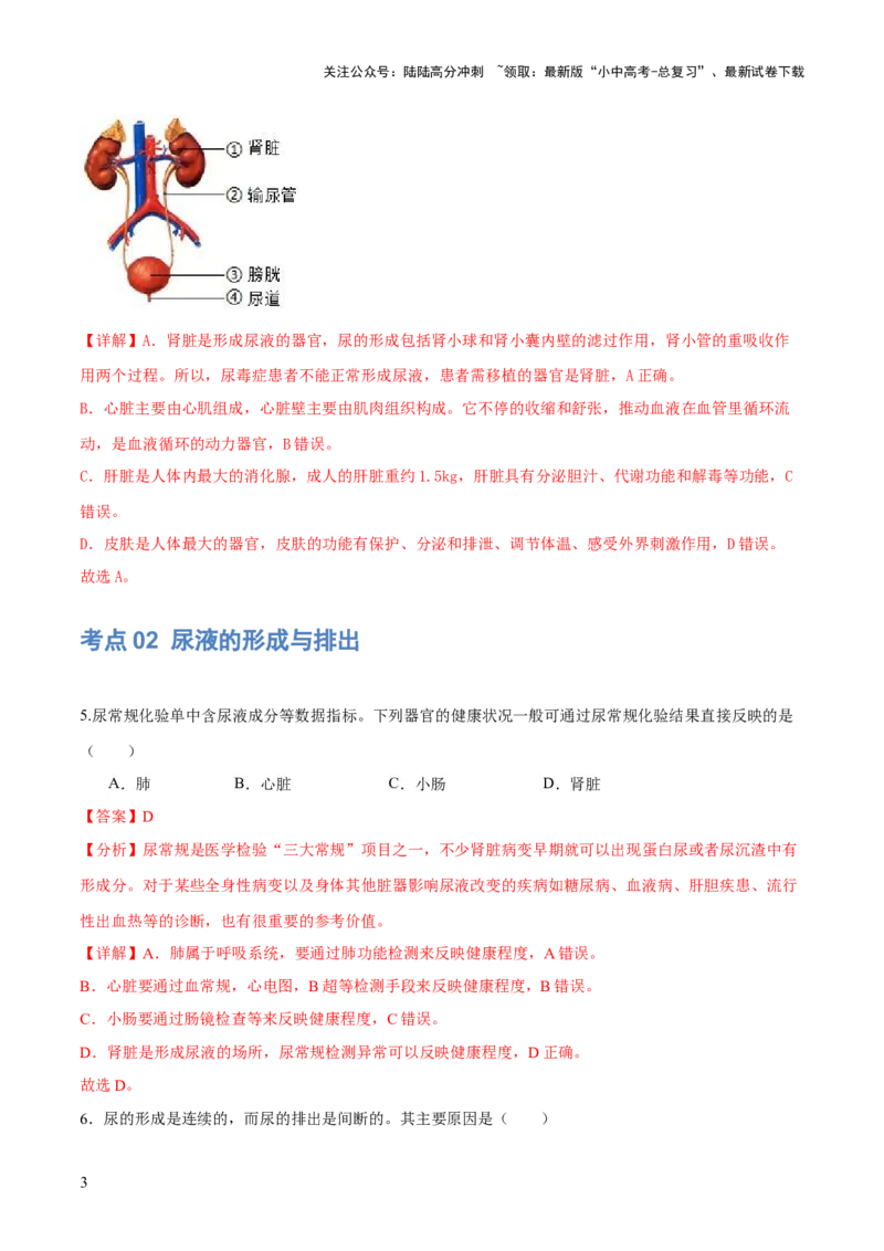 专题13人体内废物的排出（练习）（解析版）_02中考总复习（2026版更新中）_08-生物-中考总复习_2024年中考复习资料_一轮复习_❤2024年中考生物一轮复习讲练测（全国通用）_练习
