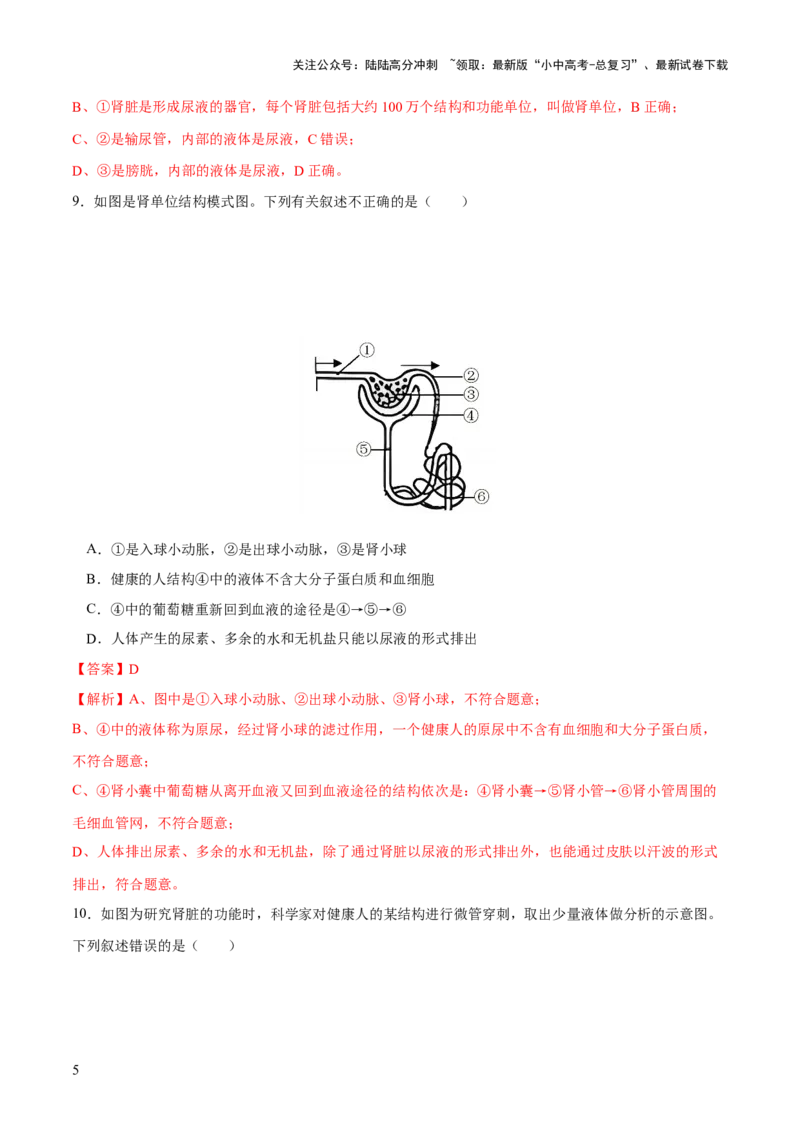专题13人体内废物的排出（练习）（解析版）_02中考总复习（2026版更新中）_08-生物-中考总复习_2024年中考复习资料_一轮复习_❤2024年中考生物一轮复习讲练测（全国通用）_练习