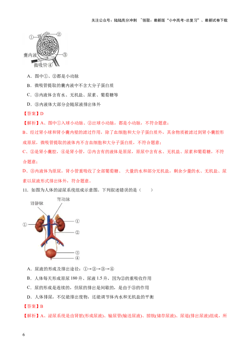 专题13人体内废物的排出（练习）（解析版）_02中考总复习（2026版更新中）_08-生物-中考总复习_2024年中考复习资料_一轮复习_❤2024年中考生物一轮复习讲练测（全国通用）_练习