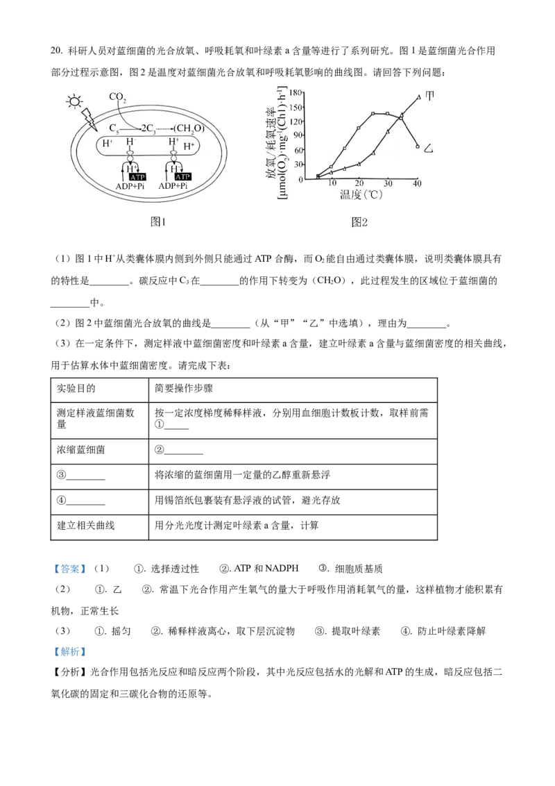 2024年高考生物真题（江苏自主命题）（解析版）_全国卷+地方卷_6.生物_1.生物高考真题试卷_2024年高考-生物_2024年江苏自主命题-生物