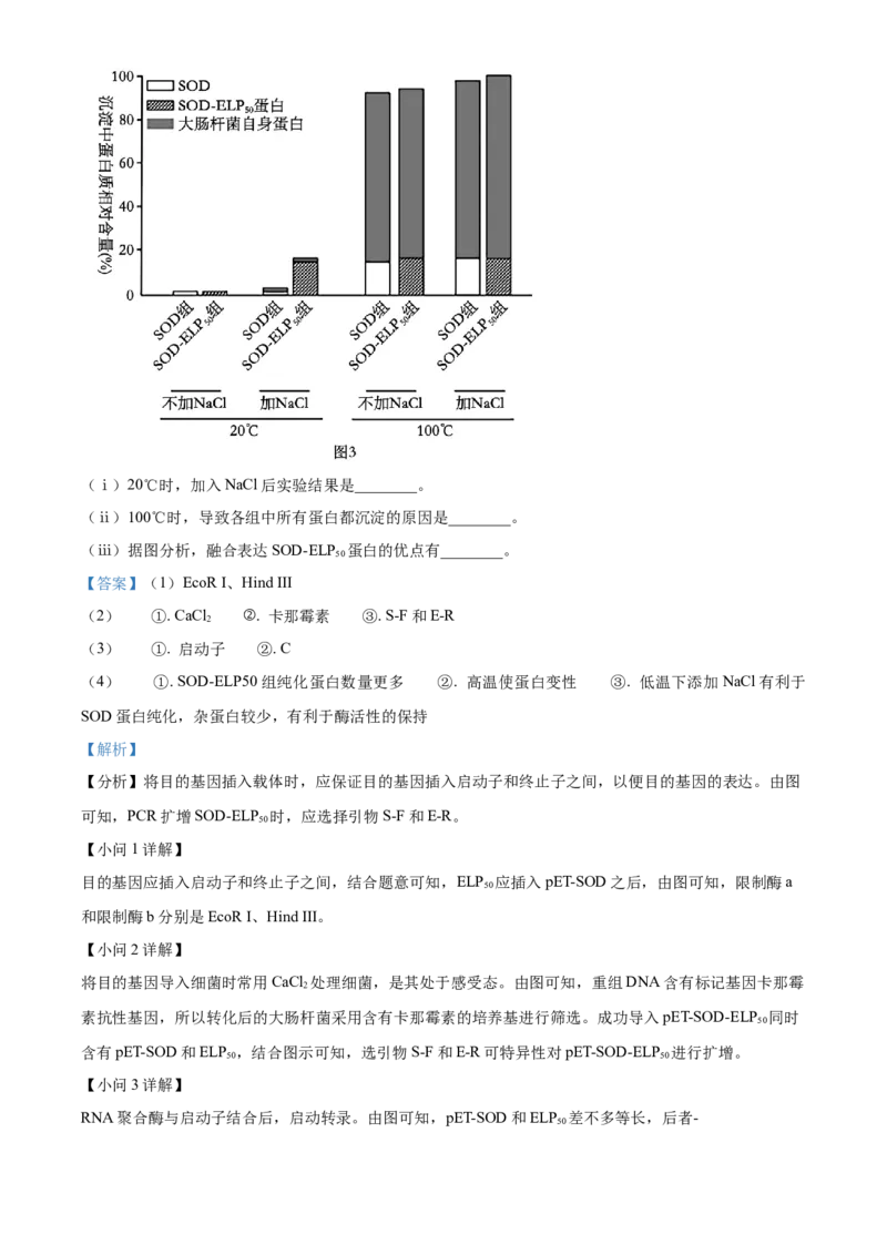 2024年高考生物真题（江苏自主命题）（解析版）_全国卷+地方卷_6.生物_1.生物高考真题试卷_2024年高考-生物_2024年江苏自主命题-生物