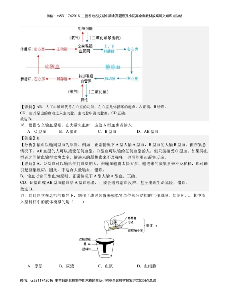 七年级生物期末模拟卷（全解全析）(1)_北京初中期末题_C605-京七八九_B京生物七八九_北京7下生物_2022-2024_北京生物7下期末