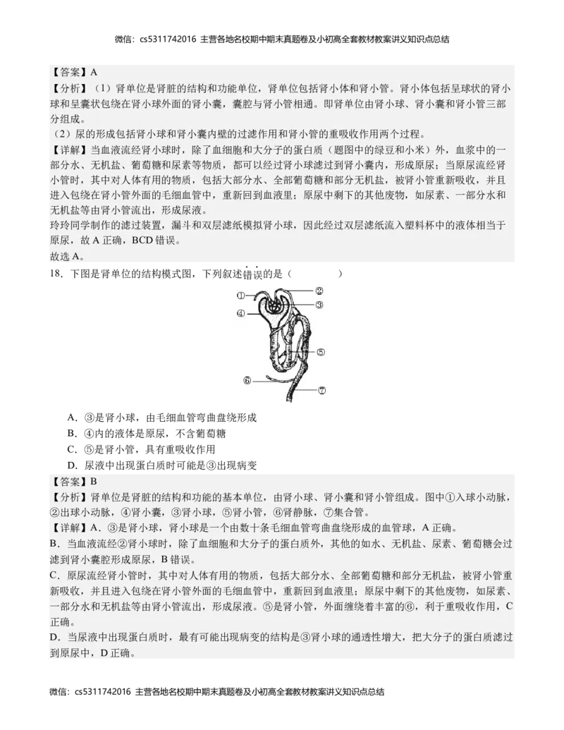 七年级生物期末模拟卷（全解全析）(1)_北京初中期末题_C605-京七八九_B京生物七八九_北京7下生物_2022-2024_北京生物7下期末