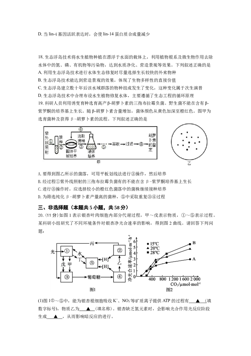 2024-2025学年第一学期六校联合体10月联合调研_A1502026各地模拟卷（超值！）_10月_241023江苏省南京市六校联合体2024-2025学年高三上学期10月期中调研