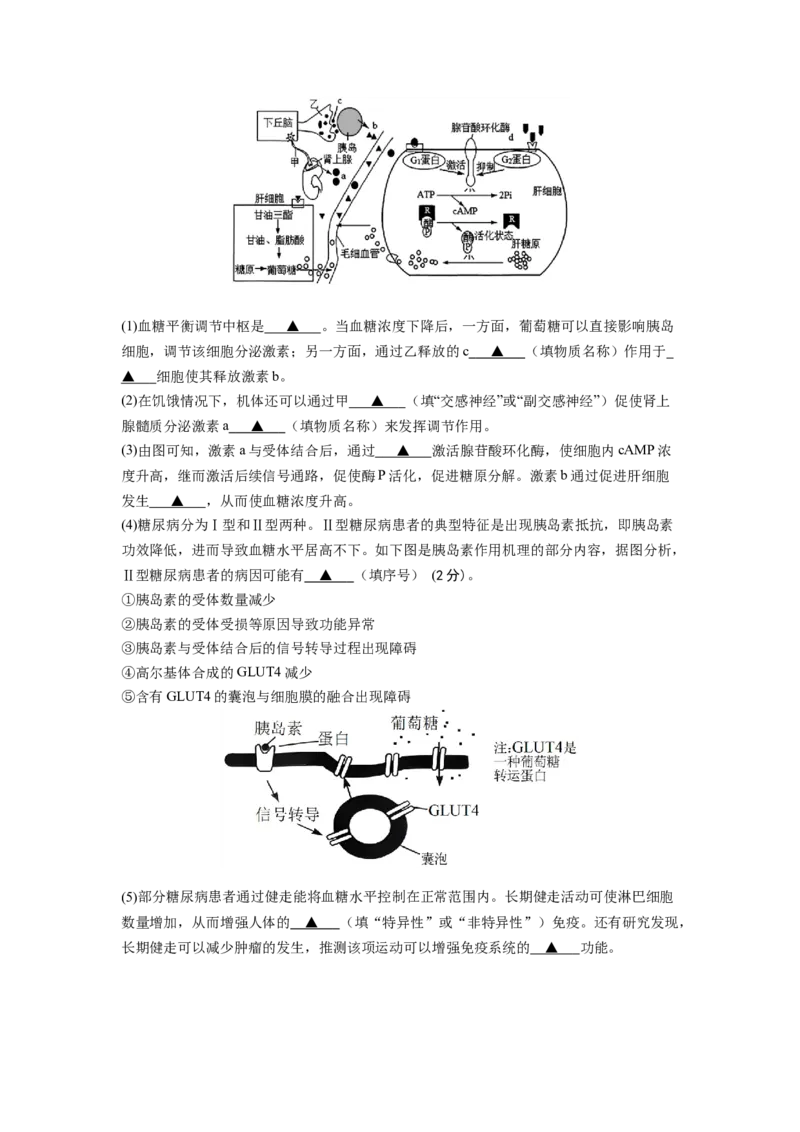 2024-2025学年第一学期六校联合体10月联合调研_A1502026各地模拟卷（超值！）_10月_241023江苏省南京市六校联合体2024-2025学年高三上学期10月期中调研