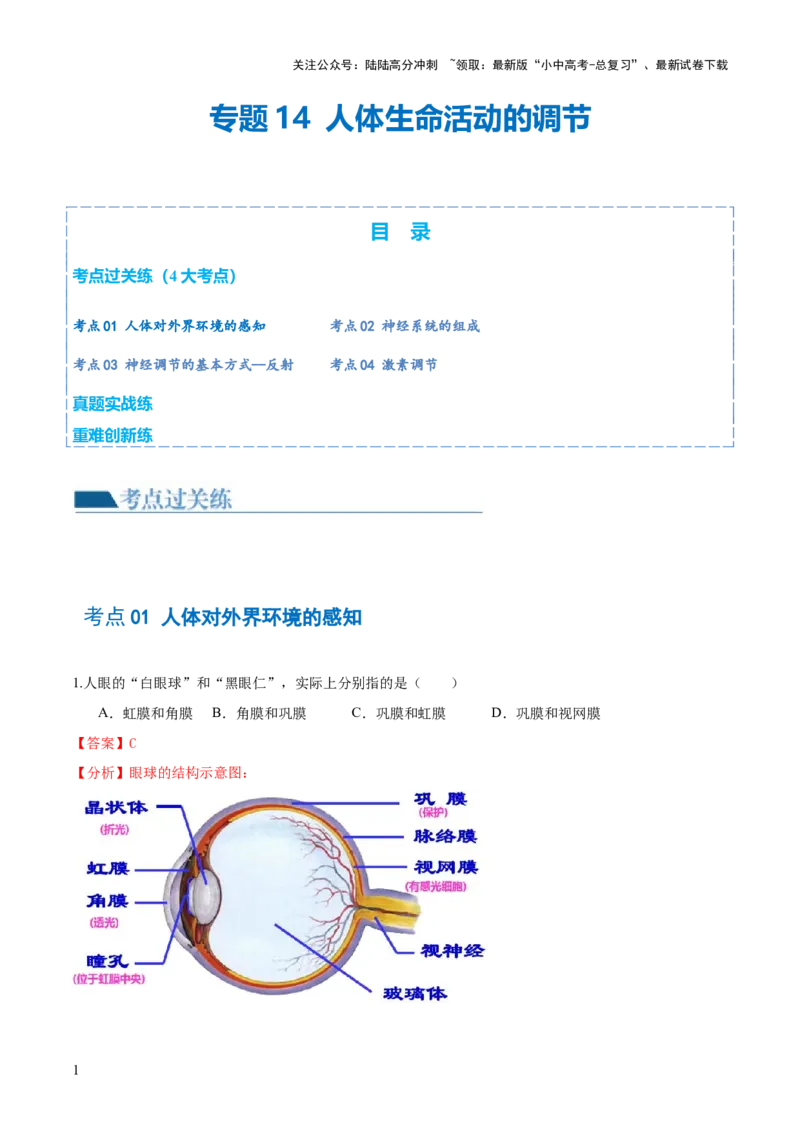 专题14人体生命活动的调节（练习）（解析版）_02中考总复习（2026版更新中）_08-生物-中考总复习_2024年中考复习资料_一轮复习_❤2024年中考生物一轮复习讲练测（全国通用）_练习