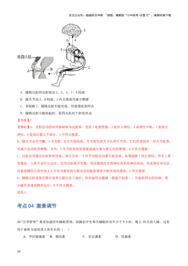 专题14人体生命活动的调节（练习）（解析版）_02中考总复习（2026版更新中）_08-生物-中考总复习_2024年中考复习资料_一轮复习_❤2024年中考生物一轮复习讲练测（全国通用）_练习