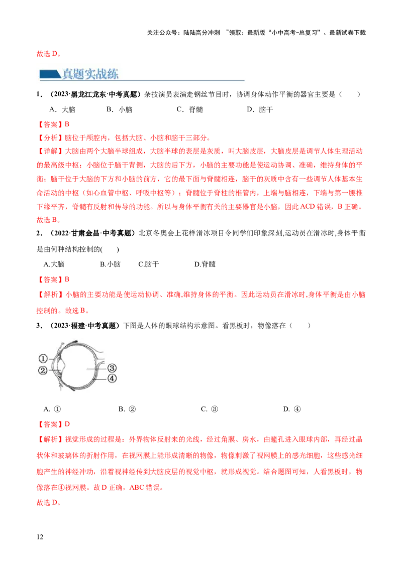 专题14人体生命活动的调节（练习）（解析版）_02中考总复习（2026版更新中）_08-生物-中考总复习_2024年中考复习资料_一轮复习_❤2024年中考生物一轮复习讲练测（全国通用）_练习