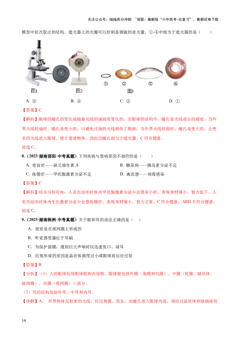 专题14人体生命活动的调节（练习）（解析版）_02中考总复习（2026版更新中）_08-生物-中考总复习_2024年中考复习资料_一轮复习_❤2024年中考生物一轮复习讲练测（全国通用）_练习