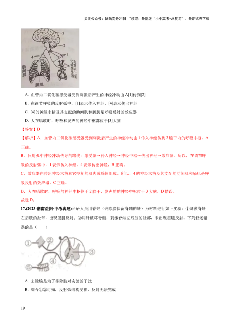 专题14人体生命活动的调节（练习）（解析版）_02中考总复习（2026版更新中）_08-生物-中考总复习_2024年中考复习资料_一轮复习_❤2024年中考生物一轮复习讲练测（全国通用）_练习