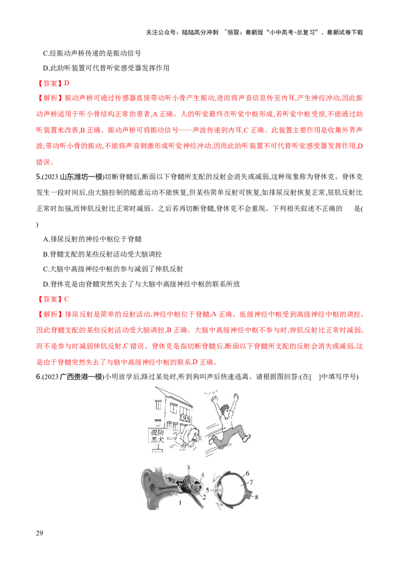专题14人体生命活动的调节（练习）（解析版）_02中考总复习（2026版更新中）_08-生物-中考总复习_2024年中考复习资料_一轮复习_❤2024年中考生物一轮复习讲练测（全国通用）_练习
