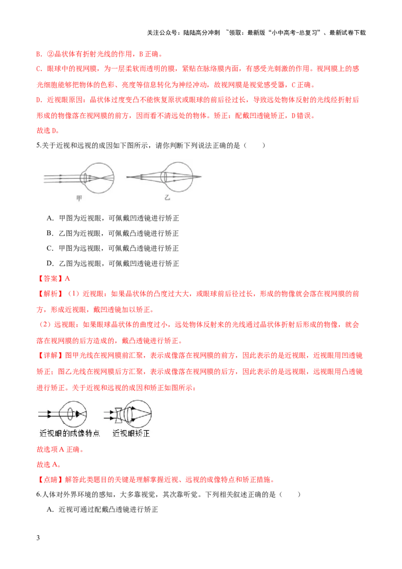 专题14人体生命活动的调节（练习）（解析版）_02中考总复习（2026版更新中）_08-生物-中考总复习_2024年中考复习资料_一轮复习_❤2024年中考生物一轮复习讲练测（全国通用）_练习