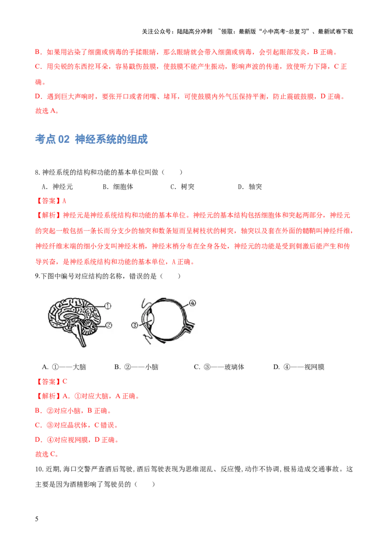 专题14人体生命活动的调节（练习）（解析版）_02中考总复习（2026版更新中）_08-生物-中考总复习_2024年中考复习资料_一轮复习_❤2024年中考生物一轮复习讲练测（全国通用）_练习