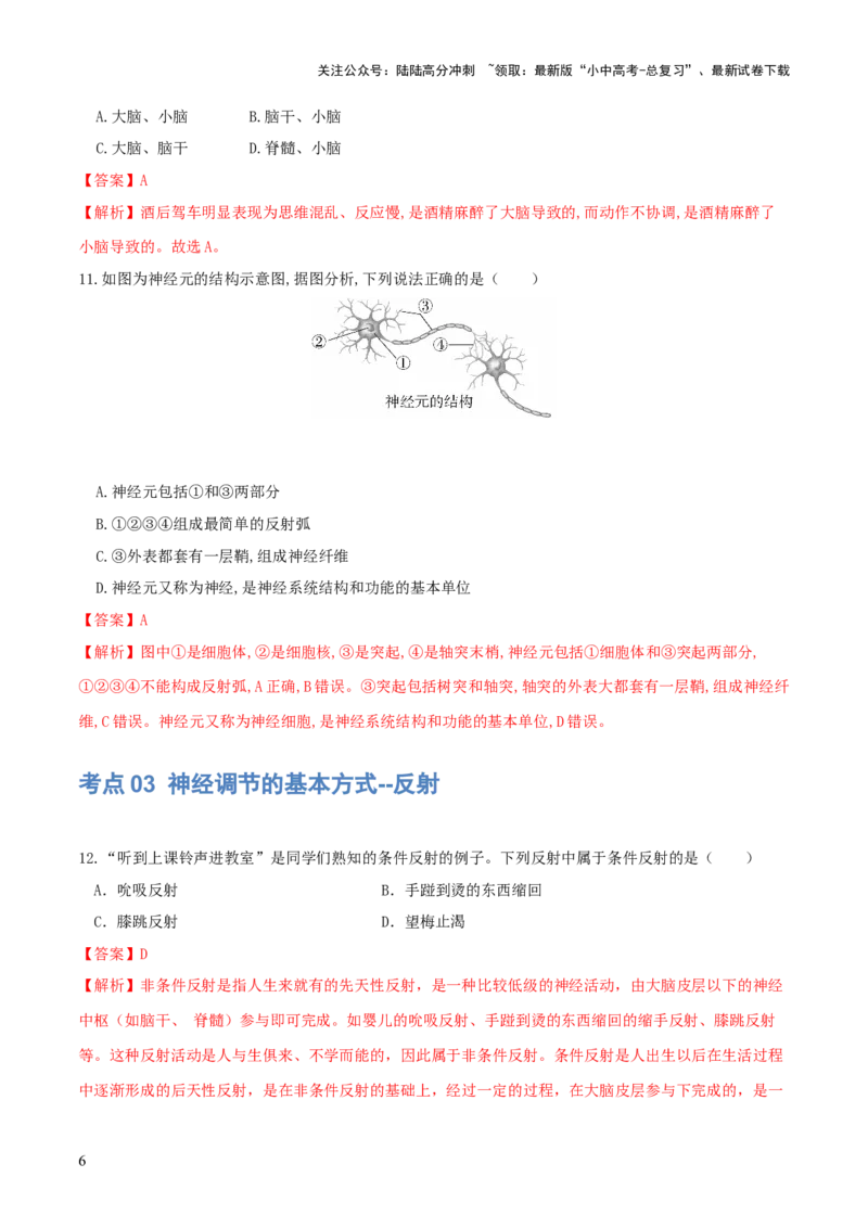 专题14人体生命活动的调节（练习）（解析版）_02中考总复习（2026版更新中）_08-生物-中考总复习_2024年中考复习资料_一轮复习_❤2024年中考生物一轮复习讲练测（全国通用）_练习