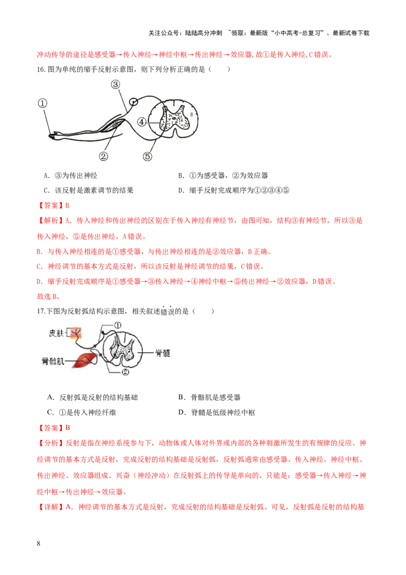 专题14人体生命活动的调节（练习）（解析版）_02中考总复习（2026版更新中）_08-生物-中考总复习_2024年中考复习资料_一轮复习_❤2024年中考生物一轮复习讲练测（全国通用）_练习
