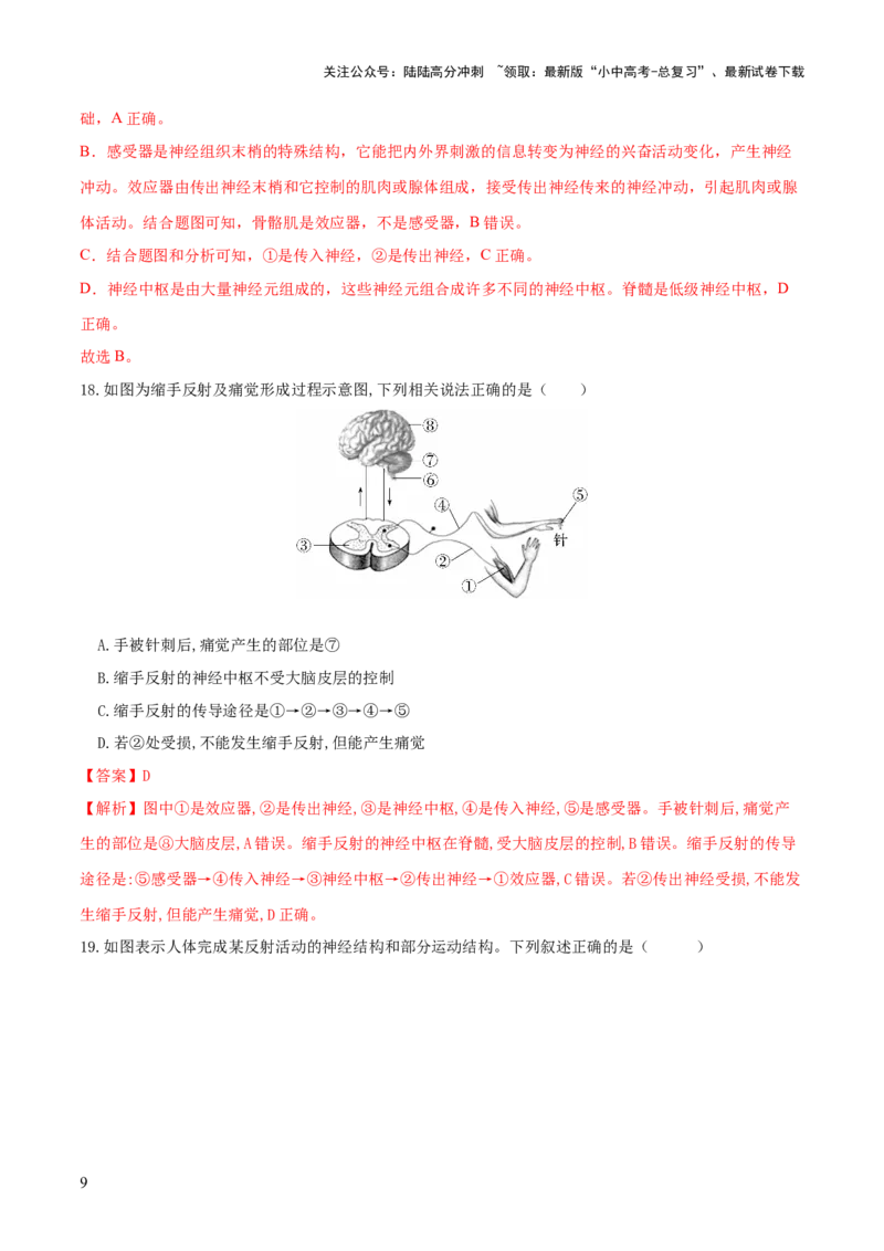 专题14人体生命活动的调节（练习）（解析版）_02中考总复习（2026版更新中）_08-生物-中考总复习_2024年中考复习资料_一轮复习_❤2024年中考生物一轮复习讲练测（全国通用）_练习
